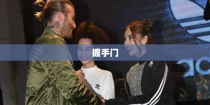 握手门
