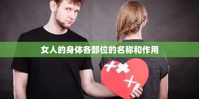 女人的身体各部位的名称和作用