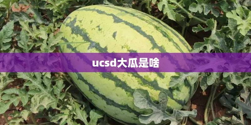 ucsd大瓜是啥 ucsd大瓜是啥