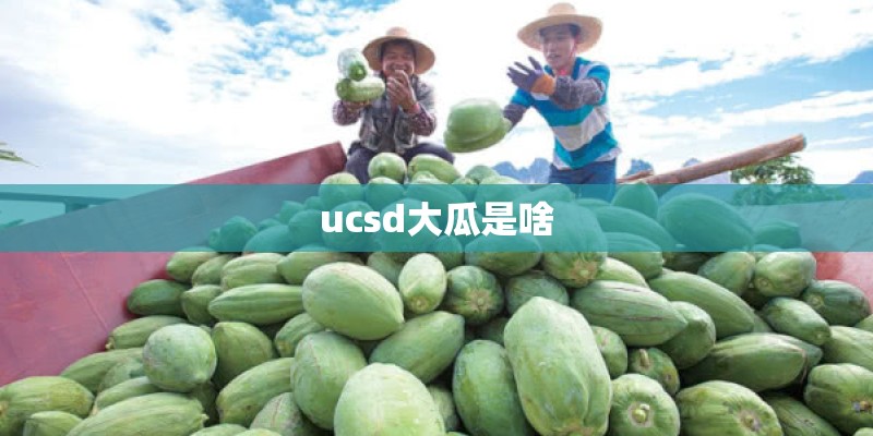 ucsd大瓜是啥 ucsd大瓜是啥