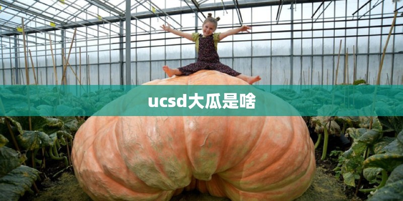 ucsd大瓜是啥 ucsd大瓜是啥