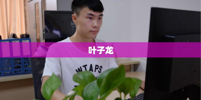 叶子龙