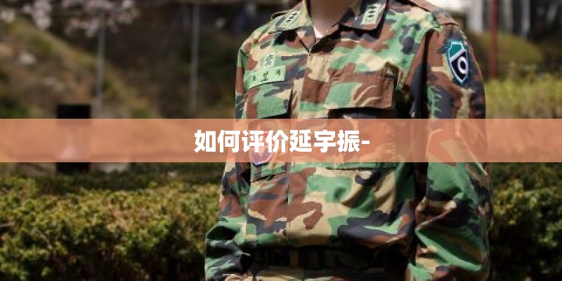 如何评价延宇振-