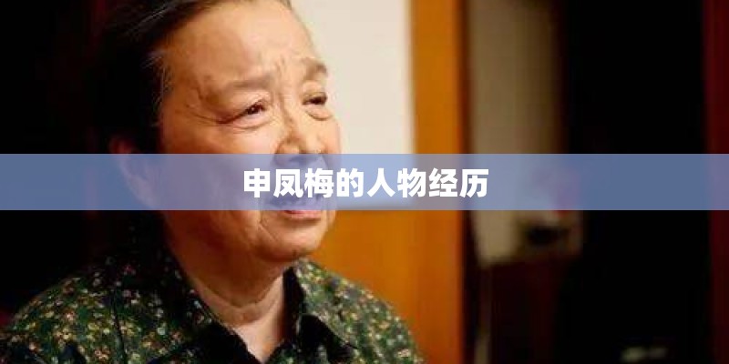 申凤梅的人物经历 申凤梅的人物经历