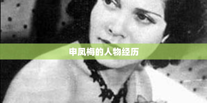 申凤梅的人物经历 申凤梅的人物经历