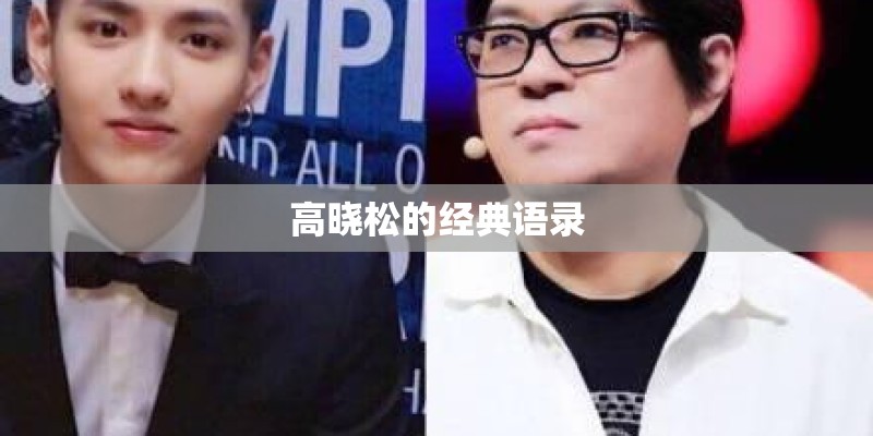 高晓松的经典语录 高晓松的经典语录