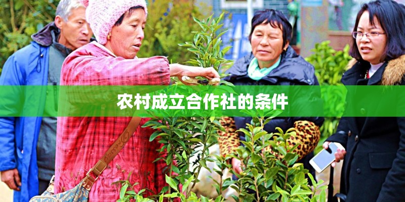 女教师出轨学生家长