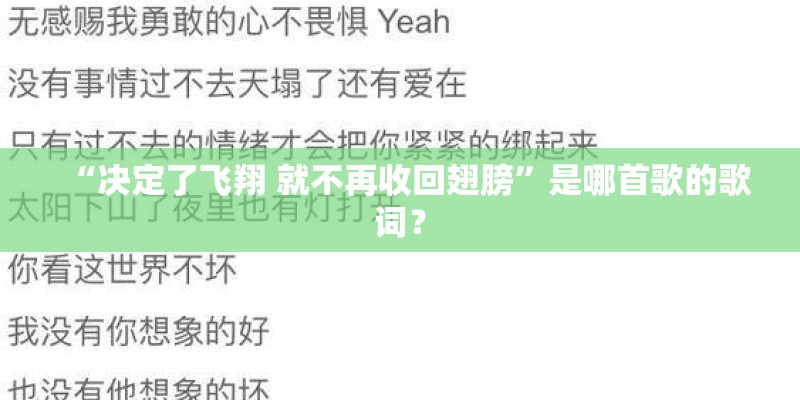 “决定了飞翔 就不再收回翅膀”是哪首歌的歌词？