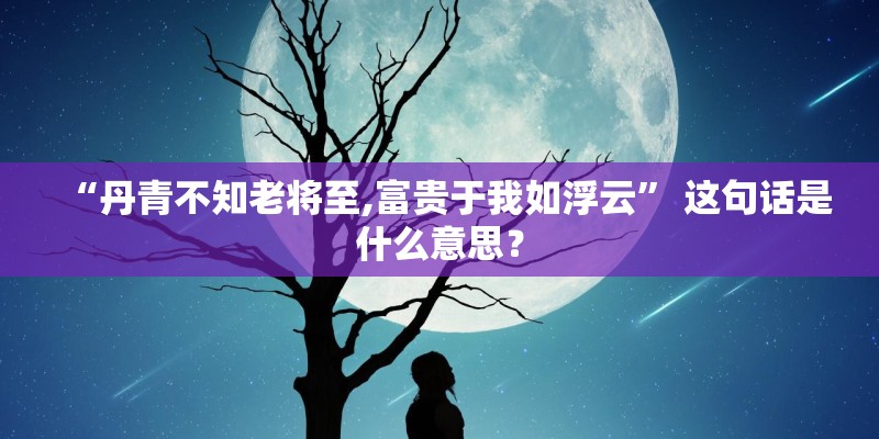 “丹青不知老将至,富贵于我如浮云” 这句话是什么意思？