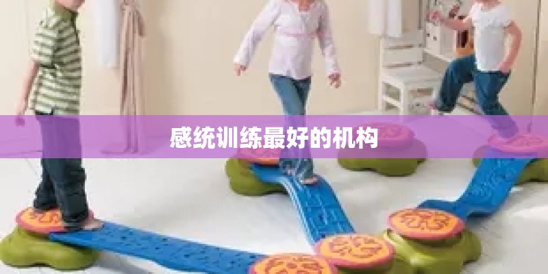 “丹青不知老将至,富贵于我如浮云” 这句话是什么意思？