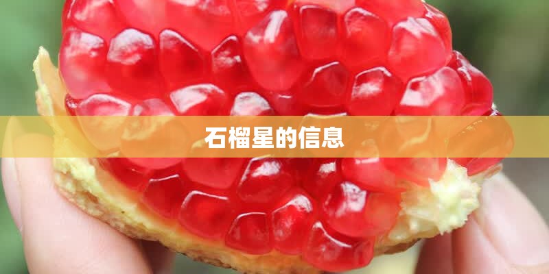 石榴星的信息