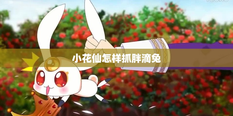 小花仙怎样抓胖滴兔