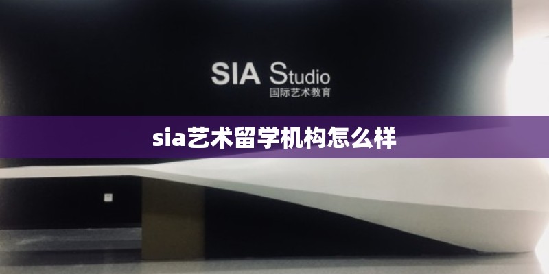 sia艺术留学机构怎么样 sia艺术留学机构怎么样