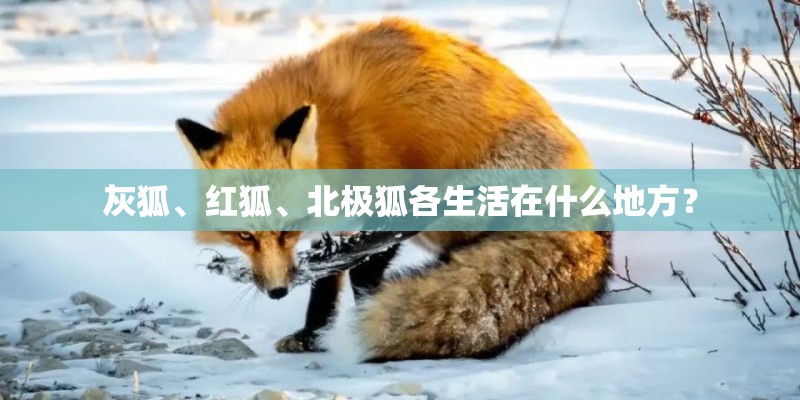 孙红雷以前真的是跳舞出道么？
