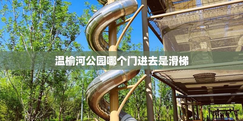 FGO两仪式礼装怎么搭配