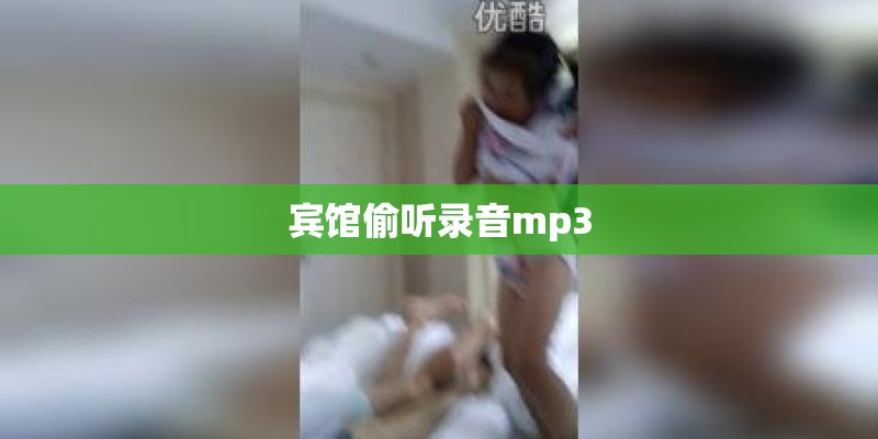 宾馆偷听录音mp3