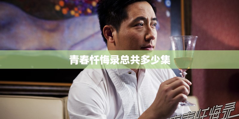 青春忏悔录总共多少集
