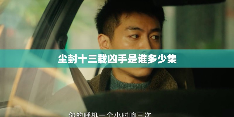 尘封十三载凶手是谁多少集
