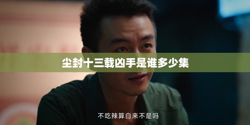 尘封十三载凶手是谁多少集