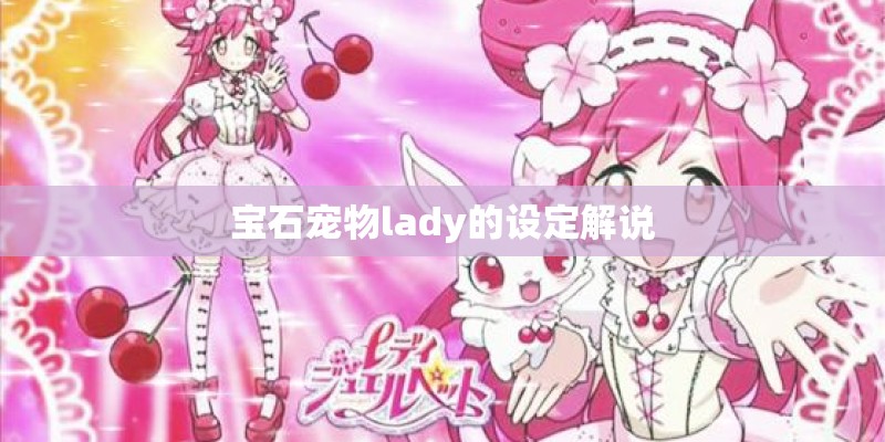 宝石宠物lady的设定解说