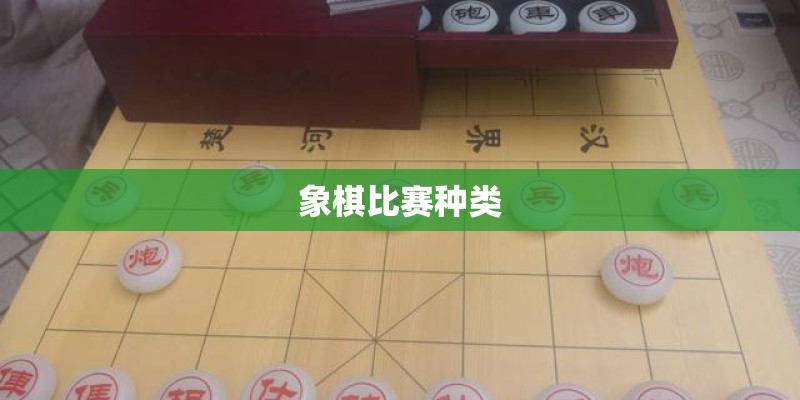 象棋比赛种类