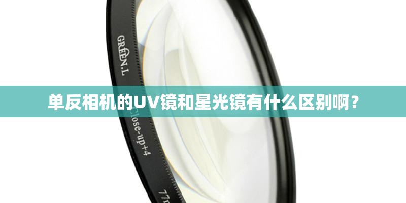 深圳初中排名