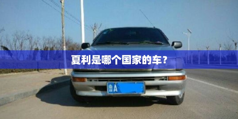 象棋比赛种类