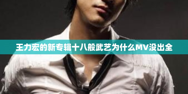 王力宏的新专辑十八般武艺为什么MV没出全 王力宏的新专辑十八般武艺为什么MV没出全
