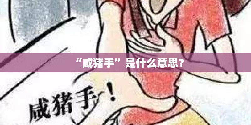 “咸猪手”是什么意思？