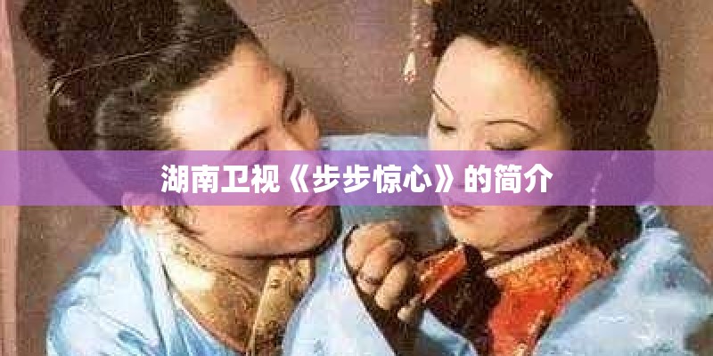 湖南卫视《步步惊心》的简介