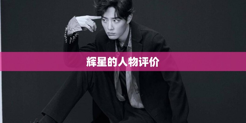 辉星的人物评价