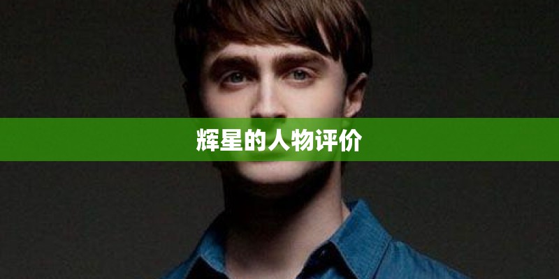 辉星的人物评价