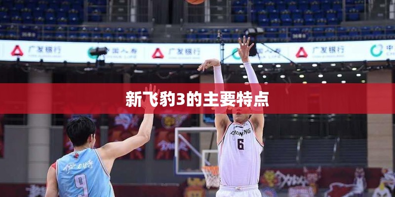 新飞豹3的主要特点 新飞豹3的主要特点