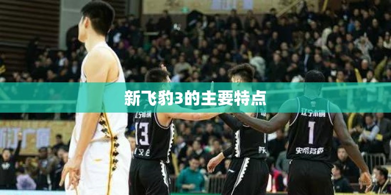 新飞豹3的主要特点 新飞豹3的主要特点