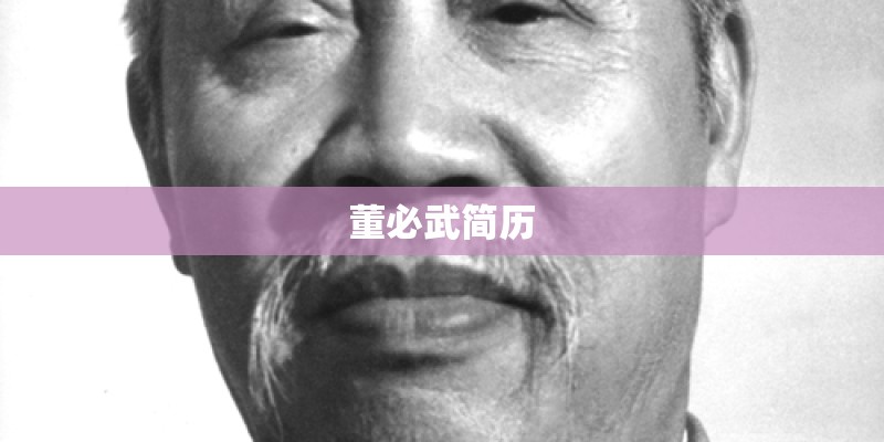 董必武简历