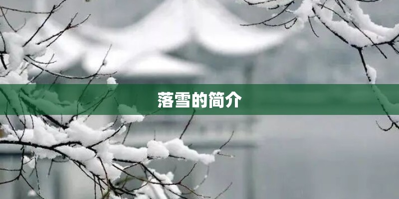 落雪的简介