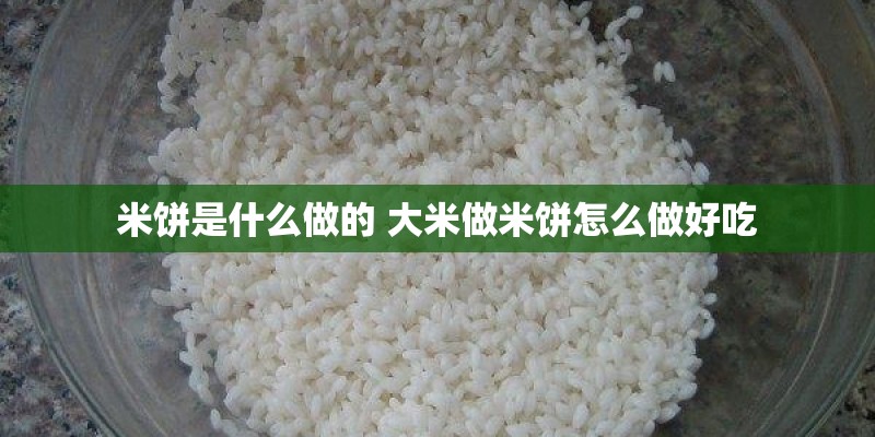 狗狗雪纳瑞种类