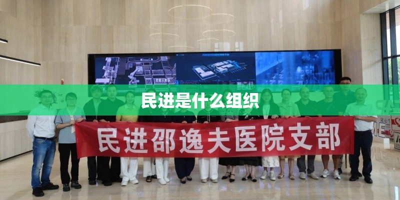 民进是什么组织