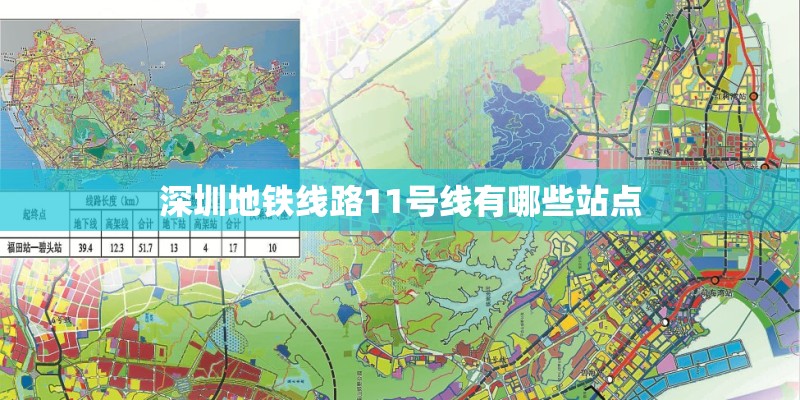 民进是什么组织